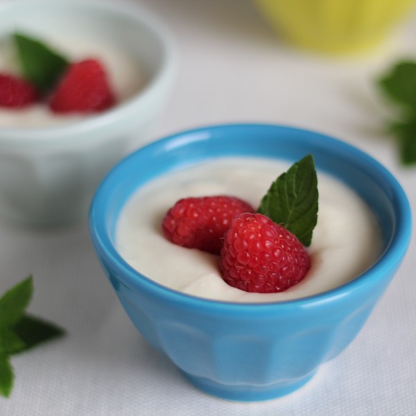 Sous Vide Homemade Yogurt